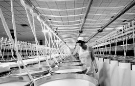 产业转型与市场变迁 解读数千工厂歇业背后的国内贸易挑战与机遇